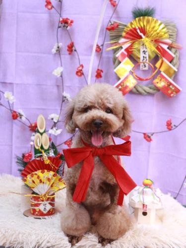 20230126くぅくん